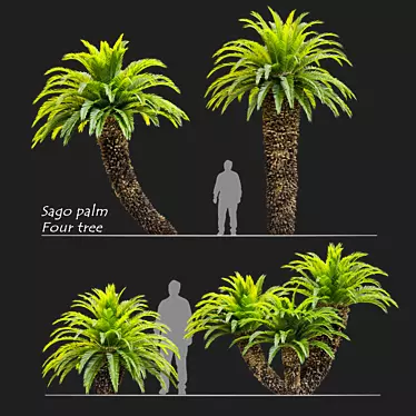 Lush Cycas Revoluta Palm 3D model image 1 