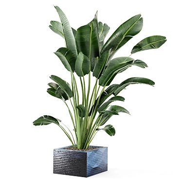 Green Oasis Indoor Plant Collection 3D model image 1 