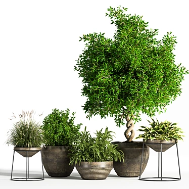 Indoor Greenery Set: Stylish & Lush 3D model image 1 