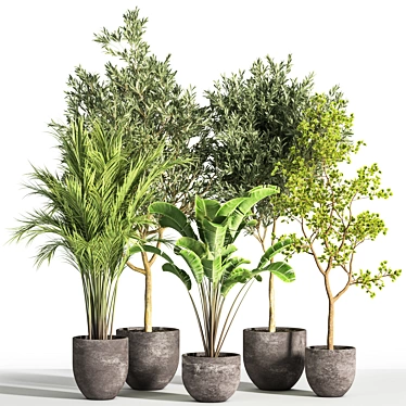 Succulent Indoor Plant Set 35 3D model image 1 