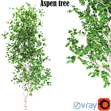 Aspen Treeline Tapestry 3D model image 1 