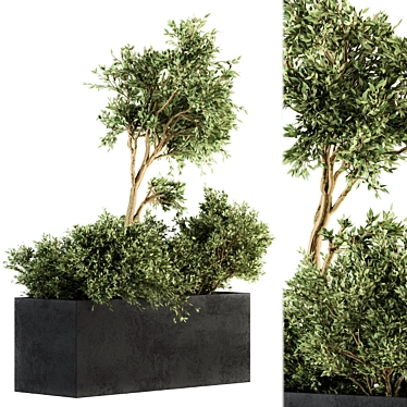 Nature's Haven: Outdoor Plant Set 3D model image 1 