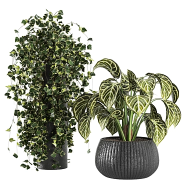 Stunning Indoor Plant Collection 3D model image 1 