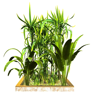 Nature's Haven: Outdoor Plant Collection 3D model image 1 