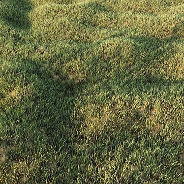 Lush Low Poly Grass Set 3D model image 1 