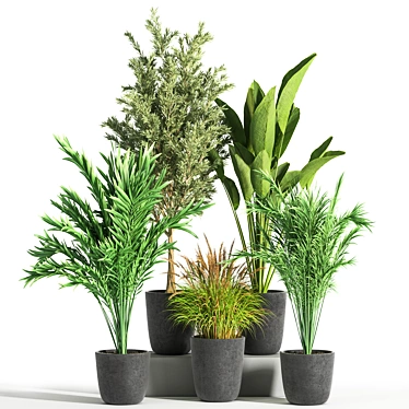 Green Oasis Indoor Plant Set 3D model image 1 