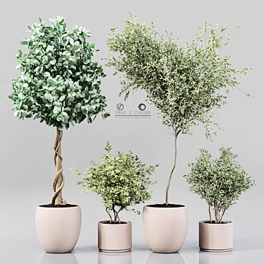 Green Oasis: Collaction Indoor Plants 3D model image 1 