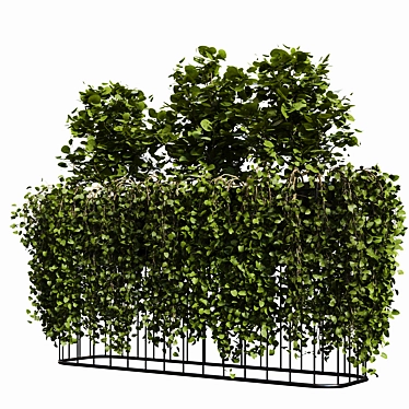 Elegant Outdoor Plant Box 3D model image 1 