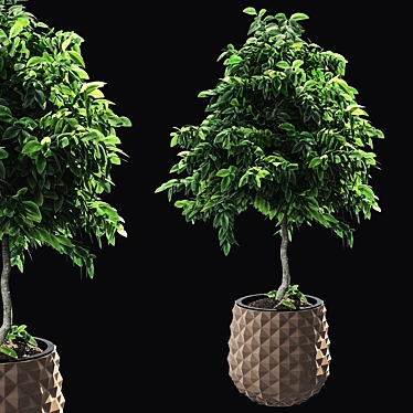 Lush Greens: Plants Set 2014 3D model image 1 