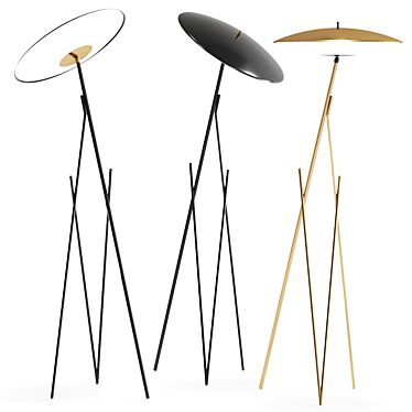 Gianfranco Ferre Lapa Floor Lamp: Sleek and Stylish Illumination Solution 3D model image 1 