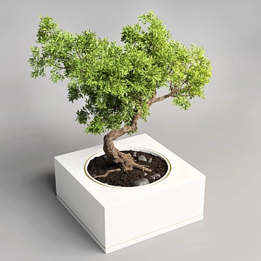 Concrete Bonsai Pot Vase 3D model image 1 