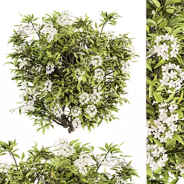 Pure Blooms: 30-Piece White Flower Bush 3D model image 1 