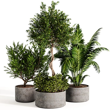 Diverse Outdoor & Indoor Plant Collection 3D model image 1 
