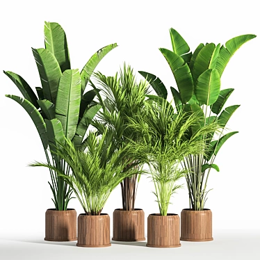 Indoor Oasis: 42-Piece Plant Set 3D model image 1 