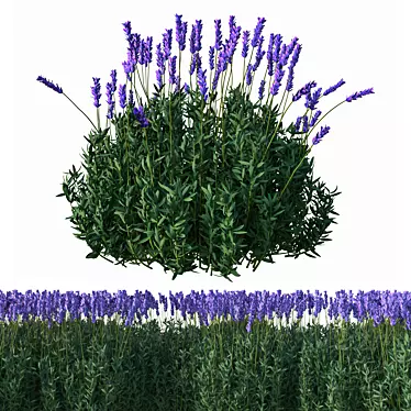 Elegant Lavender Floral Sculpture 3D model image 1 