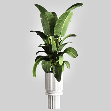 Concrete Vase Indoor Plant 3D model image 1 