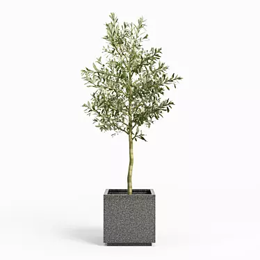 Playa rectangle gray planter