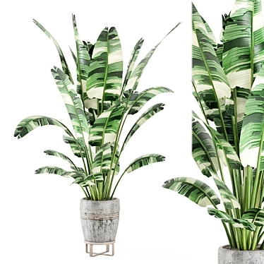 Rustic Indoor Plant Set - Concrete Pot 3D model image 1 