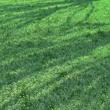 Lush Green Landscape Delight 3D model image 1 