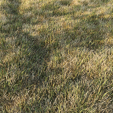 Grass Collection 6: Low Poly 3D Scattered Art 3D model image 1 