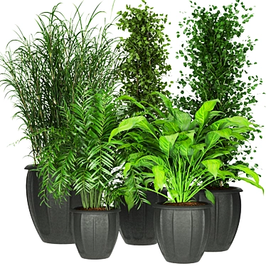 231 Plant Collection: Lightweight, High Quality 3D model image 1 