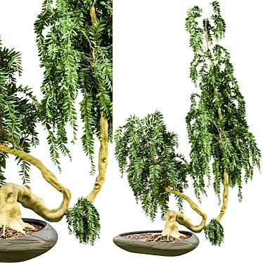 Impressive Tree Vol. 03 - 2015 3D model image 1 