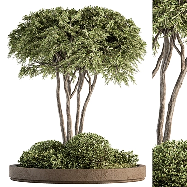 Green Oasis Garden Set 3D model image 1 