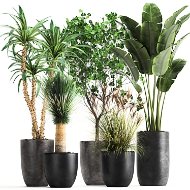 Tropical Plant Collection: Yucca, Palm, Ravenala & More 3D model image 1 