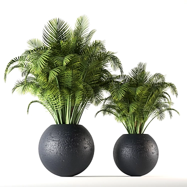 Green Oasis Indoor Plant Set 3D model image 1 