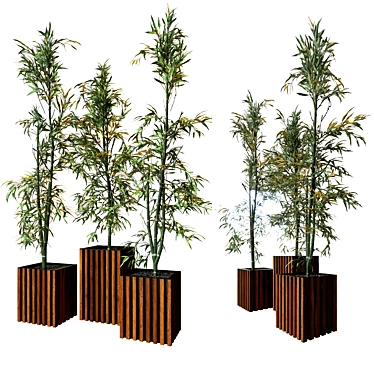 Natural Bamboo Set: 3 Unique Designs 3D model image 1 