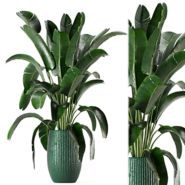 Greenery Galore: Indoor Plant Set 3D model image 1 