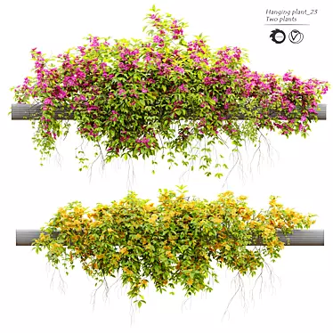  Natural Green Hanging Plant 23 3D model image 1 