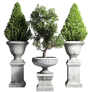 Classic Concrete Bonsai Tree: Outdoor Collection 3D model image 1 