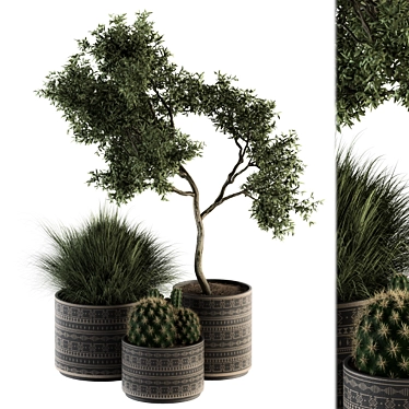 Botanical Bliss: Indoor Plant Set 3D model image 1 