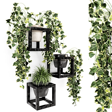 Rusty Concrete Pot Indoor Hanging Plants 3D model image 1 