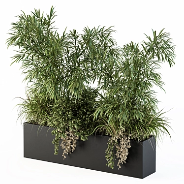 Zen Garden Plant Box Set 3D model image 1 