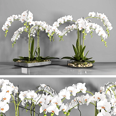 Elegant Orchid: Vase 108 3D model image 1 