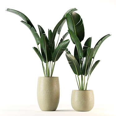 Lush Indoor Plants Set 3D model image 1 