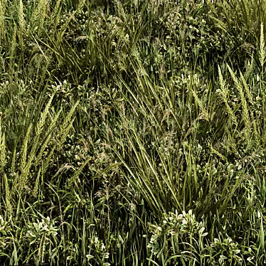 Lush Green Grass - Set 03 3D model image 1 