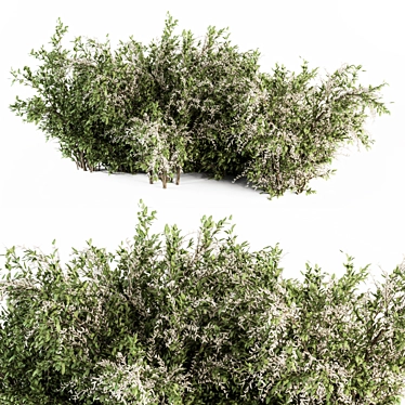 Elegant Green & White Bush Set 3D model image 1 