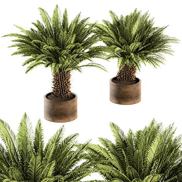 Tropical Oasis: Outdoor Plant Set 3D model image 1 