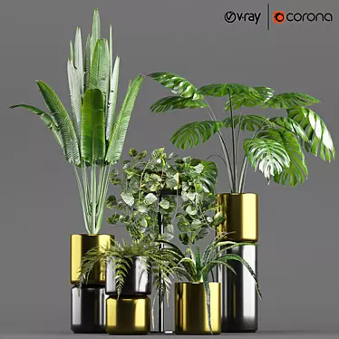 5-Piece Indoor Plant Pot Set 3D model image 1 