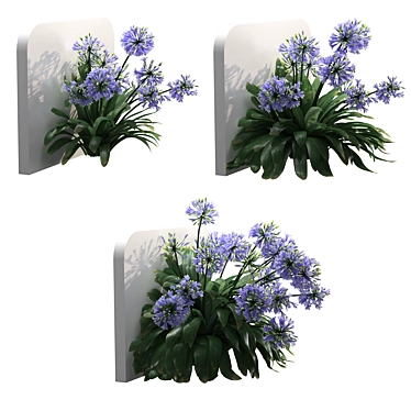 Elegant Agapanthus Wall Model 3D model image 1 