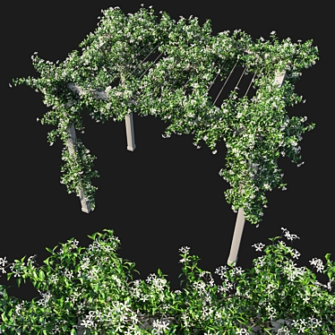 Trachelospermum Jasminoides 02: Detailed 3D Model 3D model image 1 