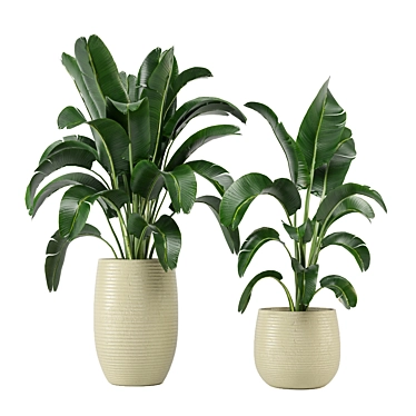 Tropical Oasis Indoor Plants 3D model image 1 