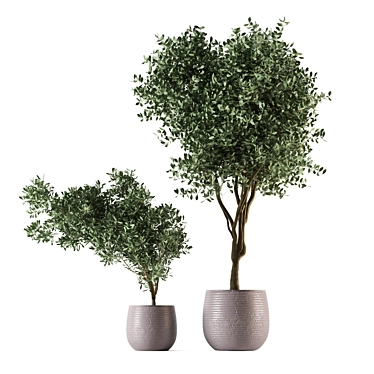 Green Oasis Indoor Plant Set 3D model image 1 