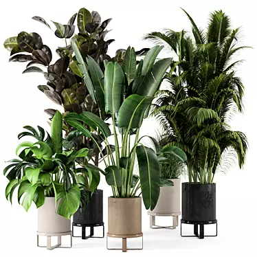 Ferm Living Bau Pot Large - Set 206: Stylish Indoor Plant Collection 3D model image 1 