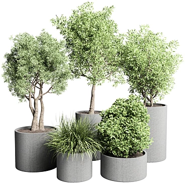 Title: Concrete Vase Pot with Outdoor Tree and Grass Bush 3D model image 1 