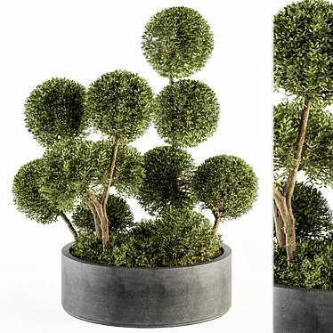 Elegant Topiary Ball Set 3D model image 1 