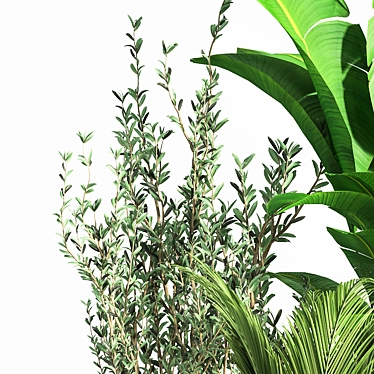 Modern Indoor Plant Set 07 3D model image 1 